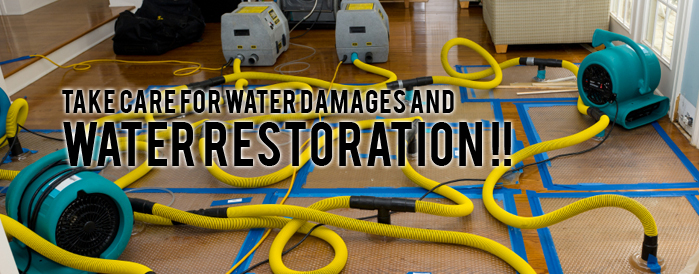 Water Damage and Mold Treatment