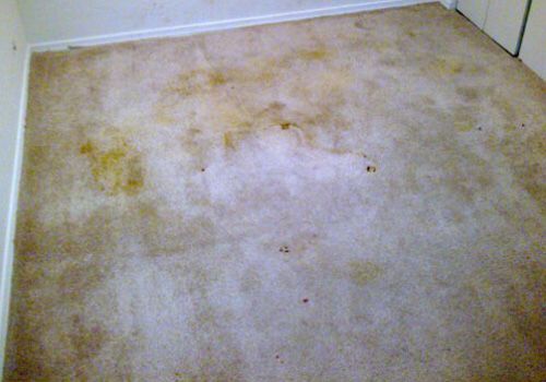 img-20130821-wa0024