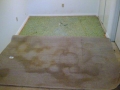img-20130821-wa0023