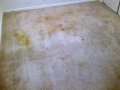 img-20130821-wa0024